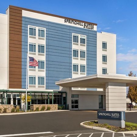 Springhill Suites By Marriott Camp Hill 外观 照片