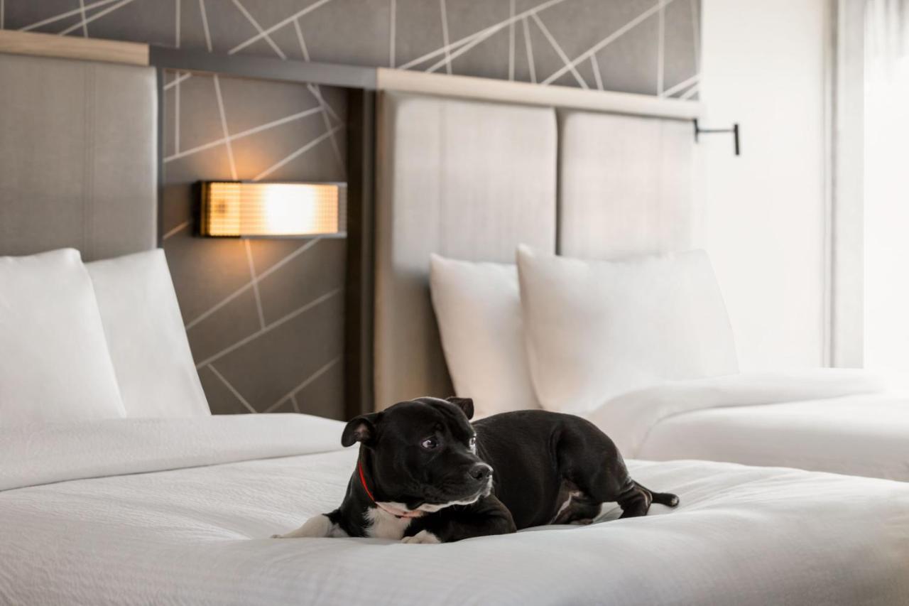 Springhill Suites By Marriott Camp Hill 外观 照片